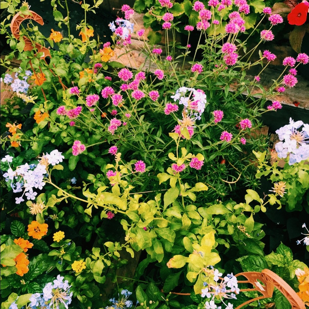 Meet your Posher, Mallory